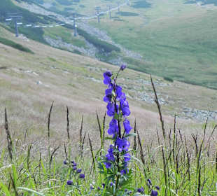 Tatrzański Park Narodowy