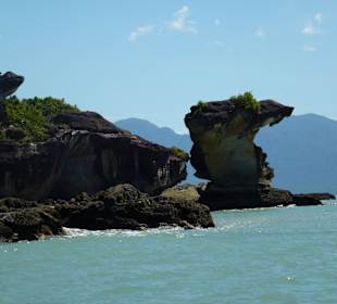 Wahrzeichen Bako Nationalpark