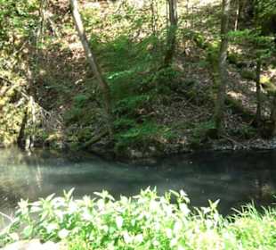 Premiumwanderweg Hochgehschätzt