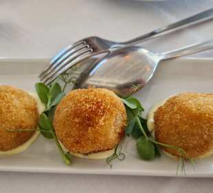 Gastro