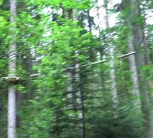 Waldklettergarten Atreenalin Dornstetten-Hallwange