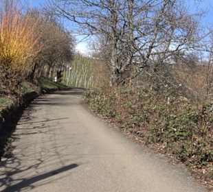 Weinerlebnisweg