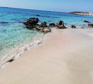 Pink Sand Beach Elafonissi