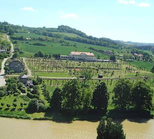 Вид с крепостной стены