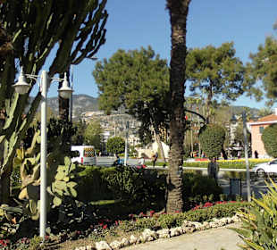 Dieser Park wird sehr gepflegt