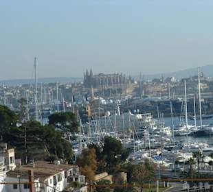 Hafen mit Blick zur Kathetrale