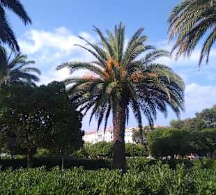 Strandpromenade Savona