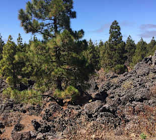 Teide Nationalpark