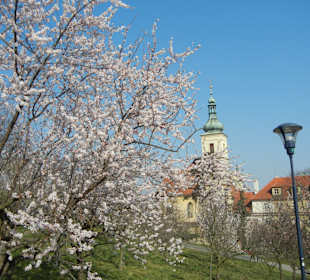 Petrin Turm