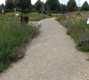 ALB-GOLD Naturgarten