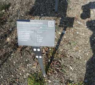 Erläuterungen der Kräuter