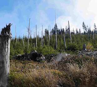 Riesengebirge/Karkonosze