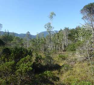 Wandern Murnau am Staffelsee