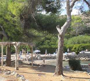 Park in Kalithea