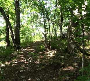 Premiumwanderweg "hochgelegen"