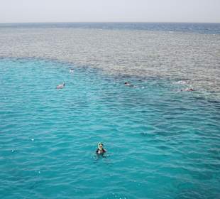 3 Schnorchelstop´s an 3 Riffen