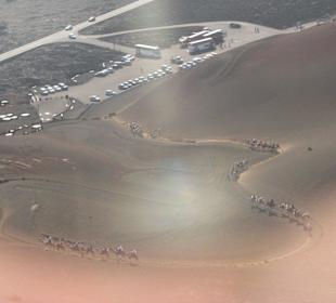 Blick zur Tour mit Dromedaren  