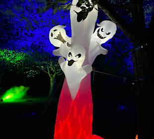 Mondo Verde Halloween