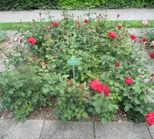 Botanischer Garten Augsburg