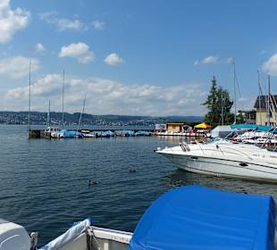 Toller Seeblick