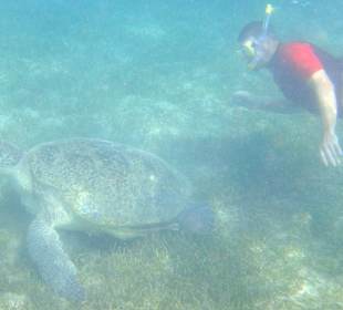 Schnorcheln Abu Soma