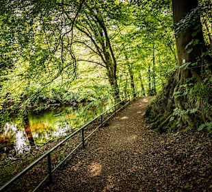 Wandern Bad Lauterberg