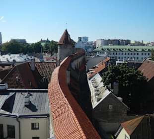 Stadtmauer