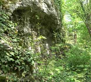 Wallersteiner Felsen