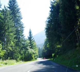 Sehr schönes Waldstück