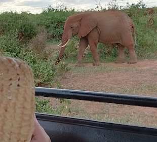 Geführte Touren Marco Polo Tours & Safaris Diani Beach 