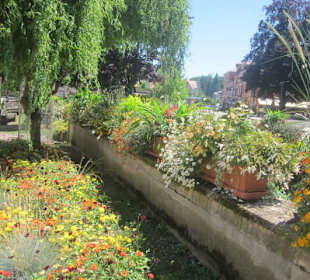 Niederbronn les Bains