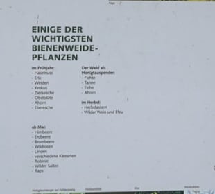 Naturinfopfad Weggental