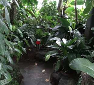 Tropicarium