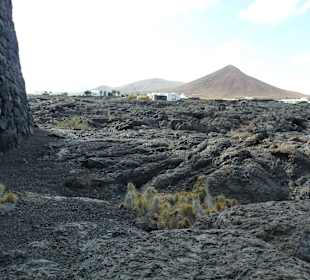 Fundacion Cesar Manrique