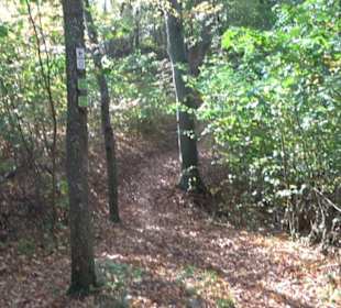 Höllenlöcher Hohenneuffen