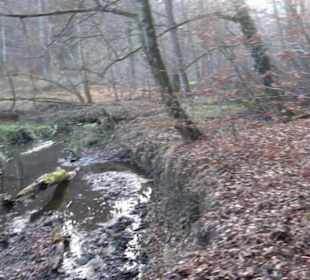 Schönbuch Schaichtal