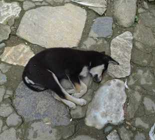 Aufpassen, die liegen überall drum