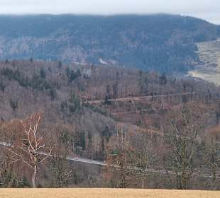 Blackforestline Hängebrücke