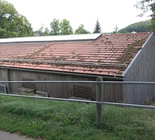 Haupt- und Landgestüt Marbach