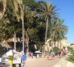 Catedral de Mallorca