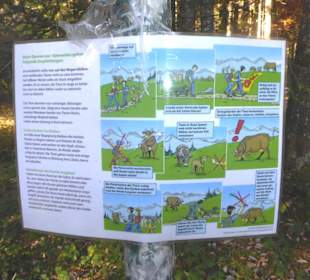 Wanderweg Bad Wiesseer Höhenstraße