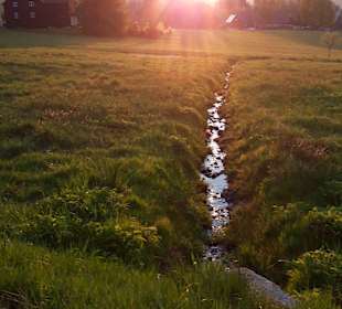 Wandern Rechenberg-Bienenmühle