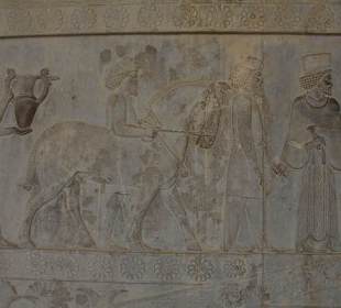 Płaskorzeźba w Persepolis