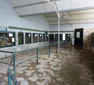 Reptilienhaus