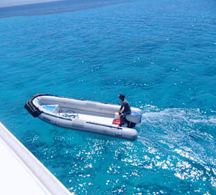 Delfintour 07.08.2012 