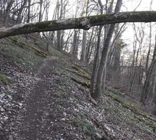 Wanderweg zur Achalm