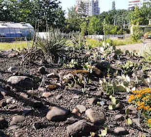 Botanischer Garten 
