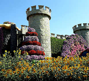 Miracle Garden