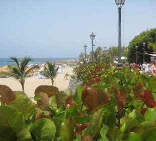 Strand El Duque