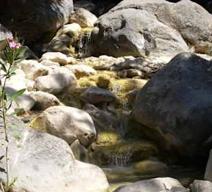 Bachlauf in der Schlucht